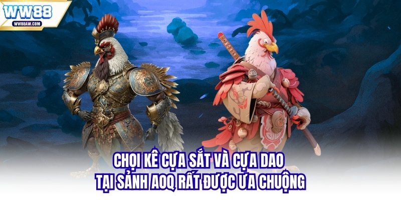 Chọi kê cựa sắt và cựa dao tại sảnh AOQ rất được ưa chuộng