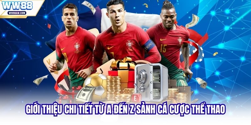 Giới thiệu chi tiết từ A đến Z sảnh cá cược thể thao